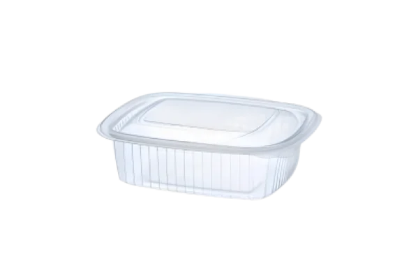 Envase de plastico trasparente con tapa